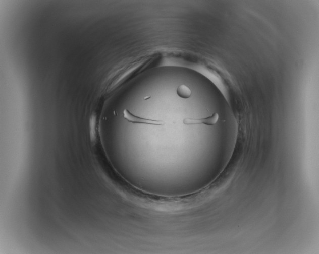 X0000112750024200908201427