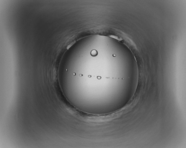 X0000112750025200908201427