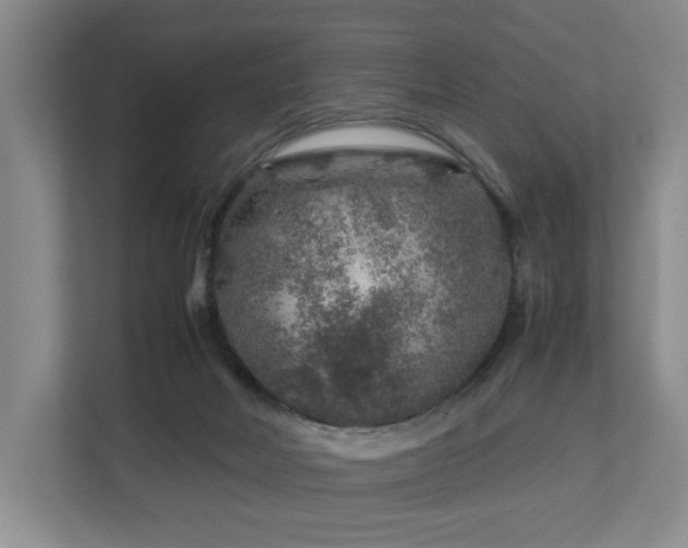 X0000112750026200908201427