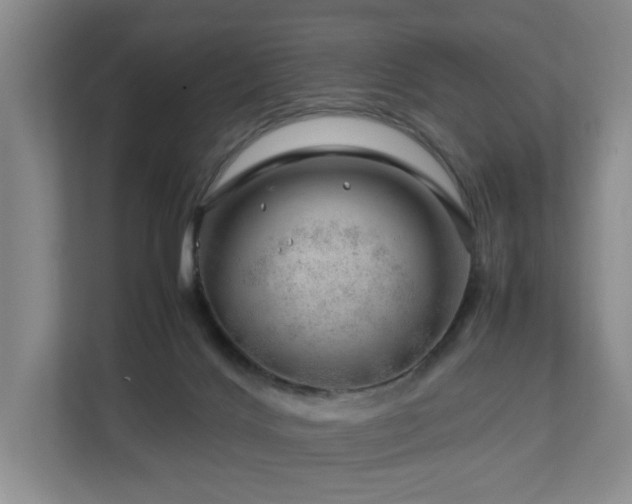 X0000112750028200908201427