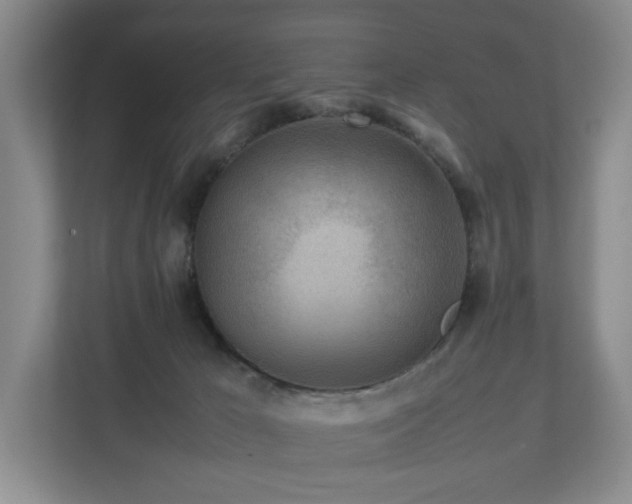 X0000112750029200908201427