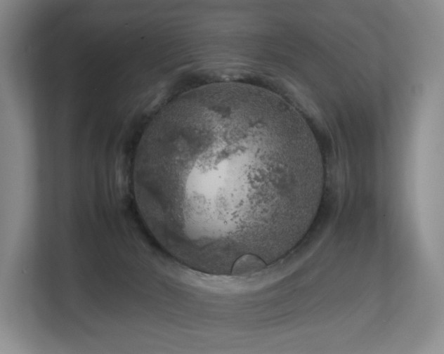 X0000112750030200908201427