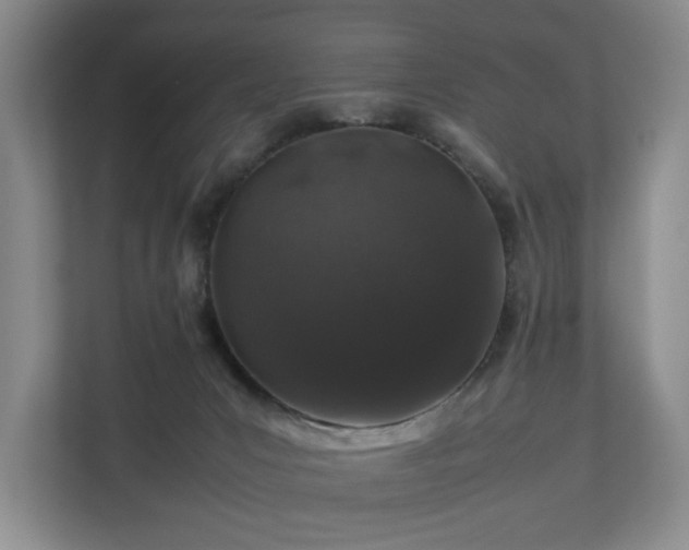 X0000112750031200908201427