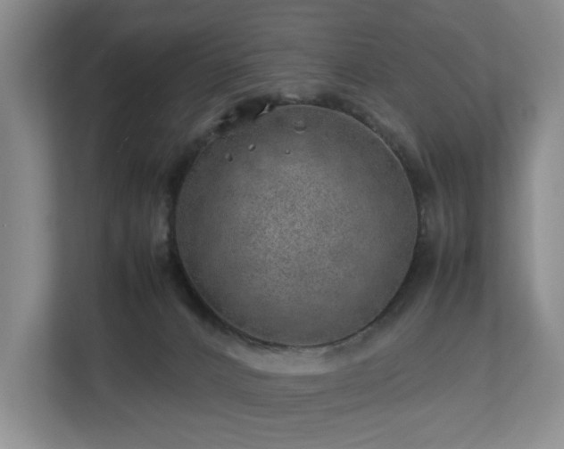 X0000112750032200908201427