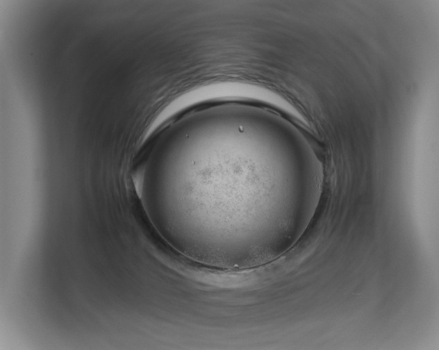 X0000112750036200908201427