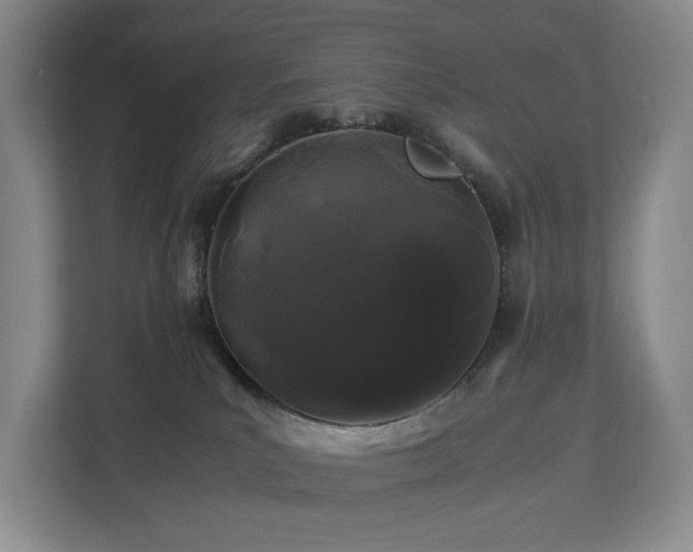 X0000112750039200908201427