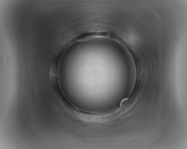 X0000112750040200908201427