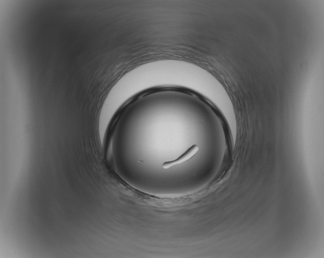 X0000112750041200908201427