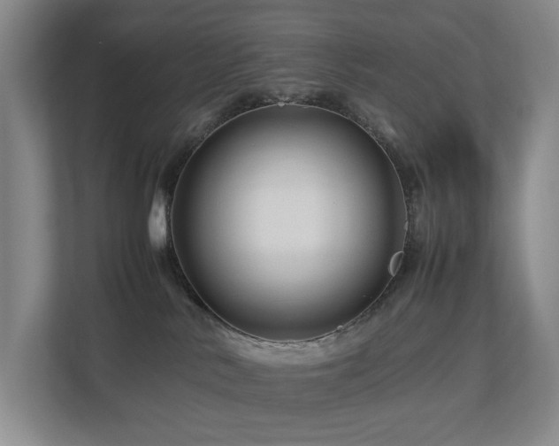 X0000112750042200908201427