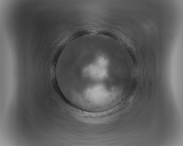 X0000112750043200908201426