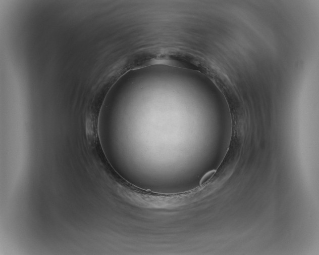 X0000112750044200908201426