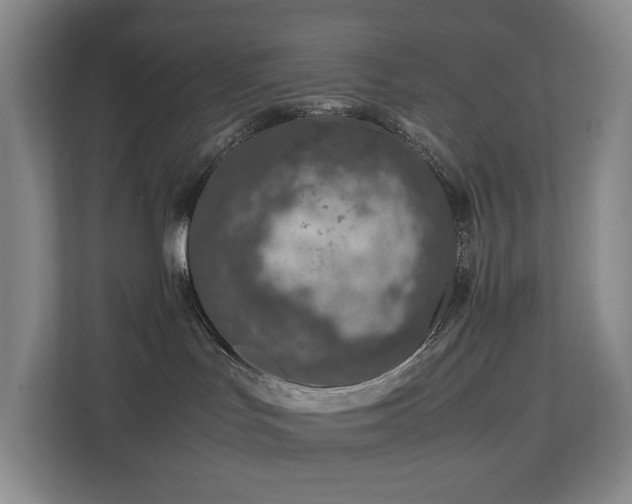 X0000112750047200908201426