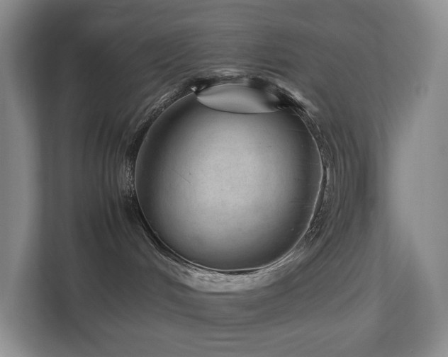 X0000112750048200908201426