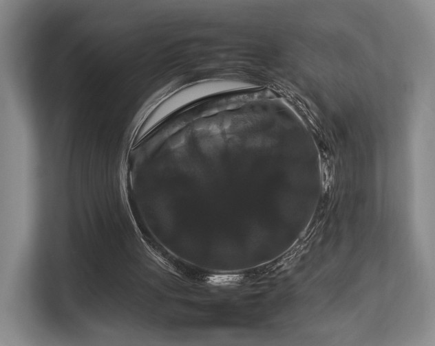 X0000112750051200908201426