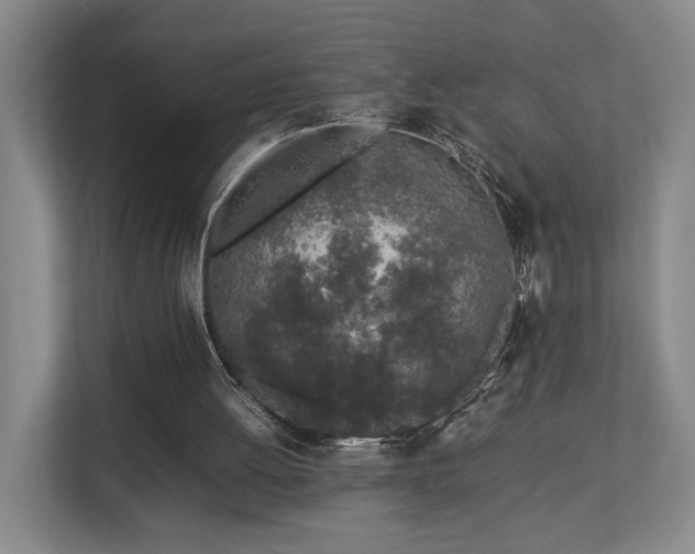 X0000112750052200908201426