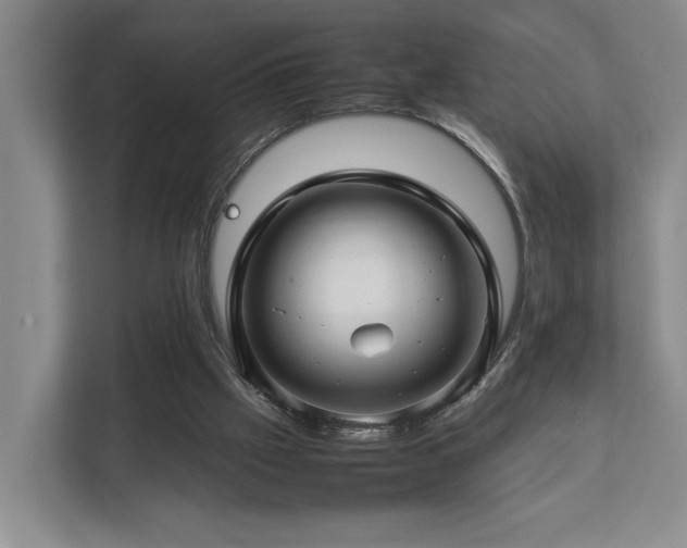 X0000112750057200908201426