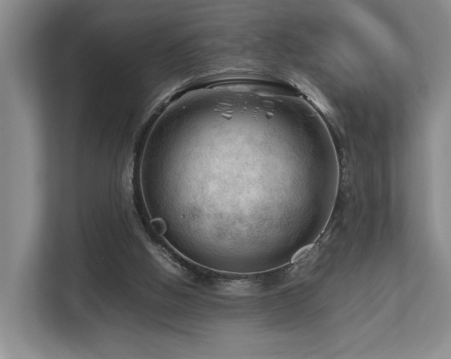 X0000112750058200908201426