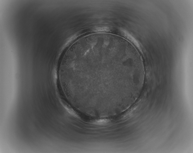 X0000112750059200908201426