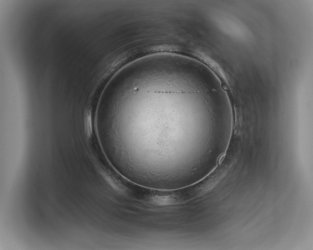 X0000112750061200908201426