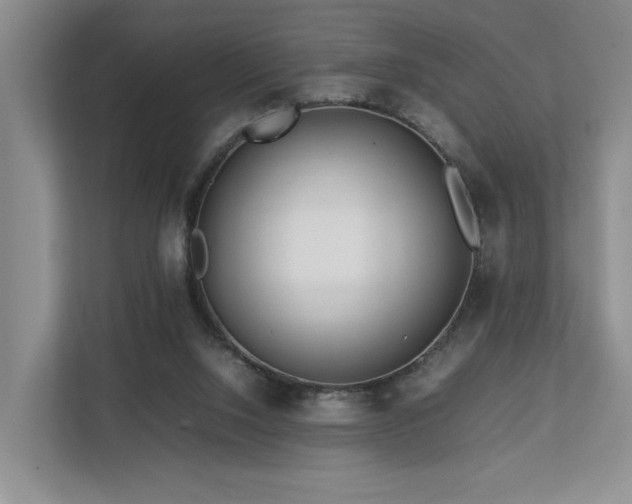 X0000112750064200908201426