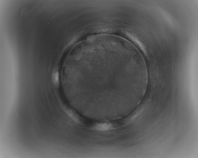 X0000112750067200908201426