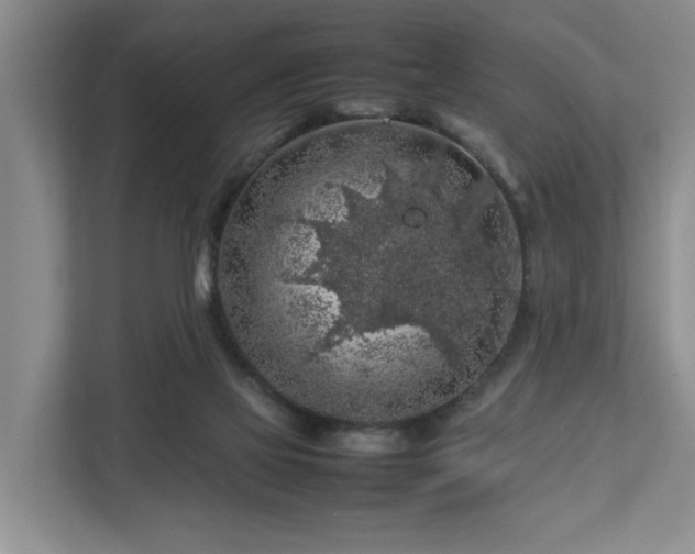 X0000112750069200908201426