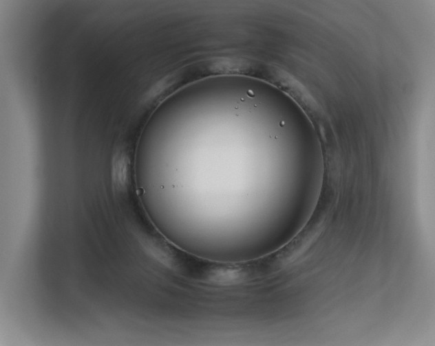 X0000112750071200908201426