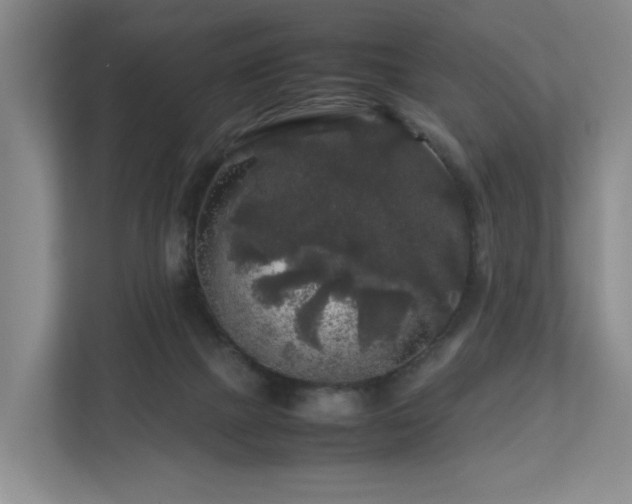 X0000112750073200908201426