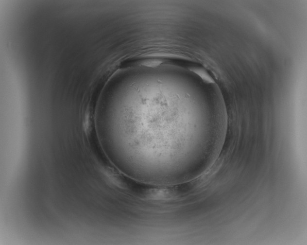 X0000112750074200908201426