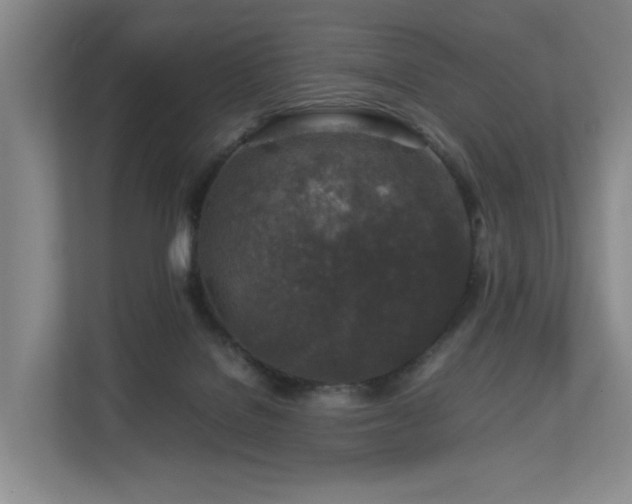 X0000112750076200908201426