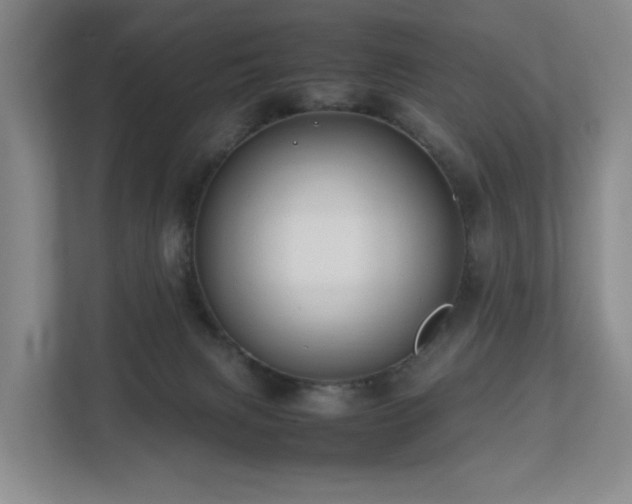 X0000112750079200908201426