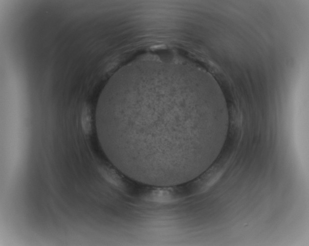 X0000112750080200908201426