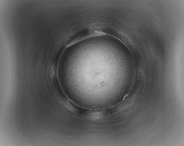 X0000112750081200908201426