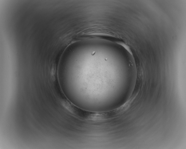 X0000112750082200908201426