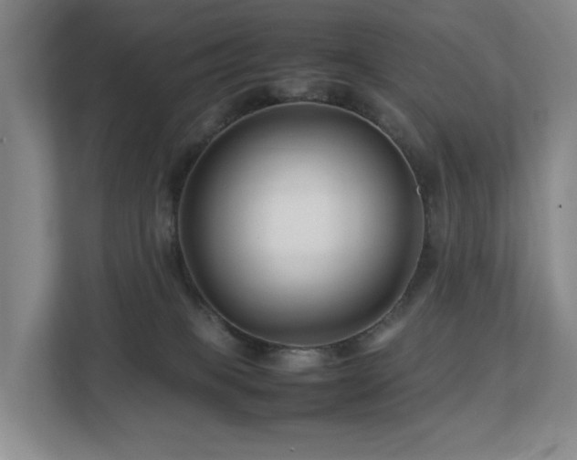 X0000112750085200908201426