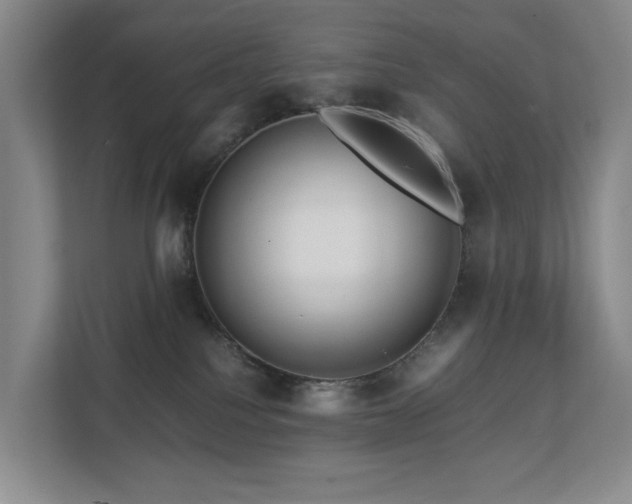 X0000112750088200908201426