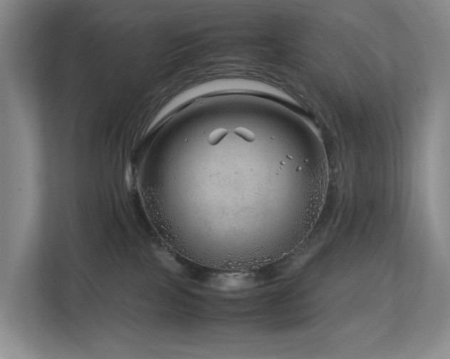 X0000112750089200908201426