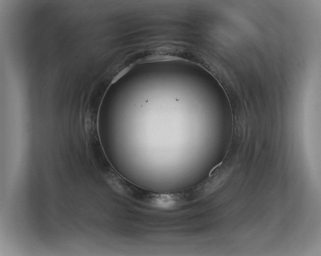 X0000112750091200908201426