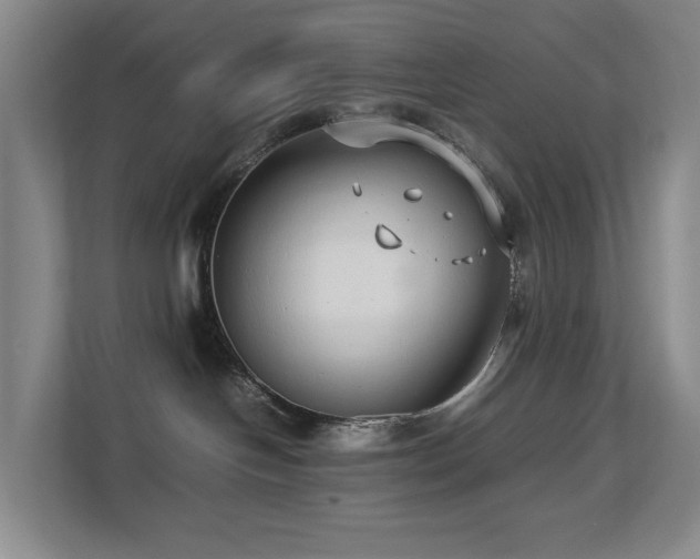 X0000112750094200908201426