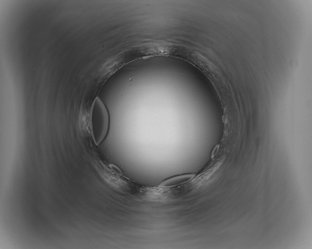 X0000112750096200908201426