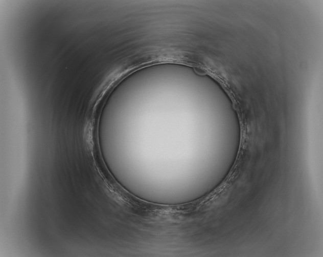 X0000112750098200908201426