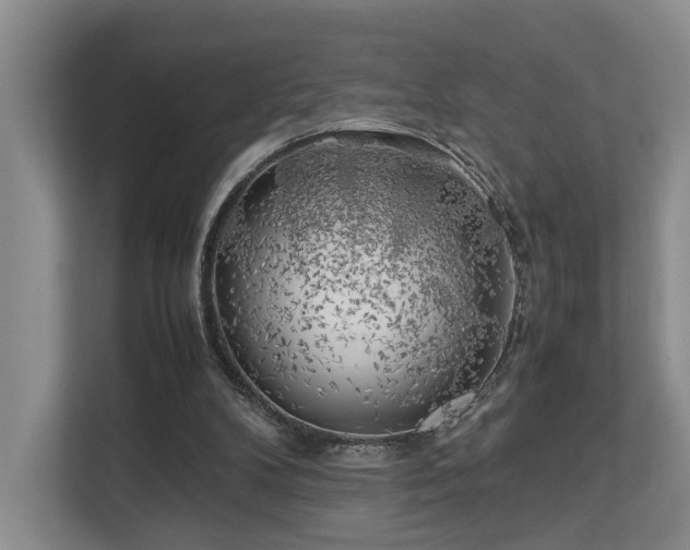 X0000112750104200908201426