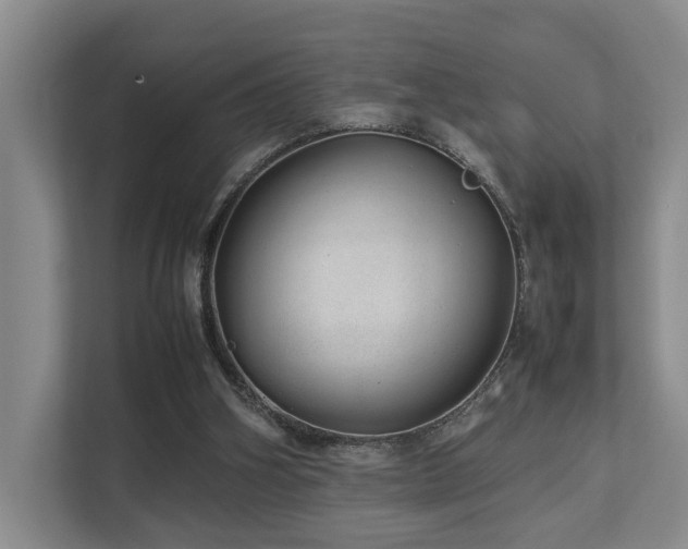 X0000112750106200908201426