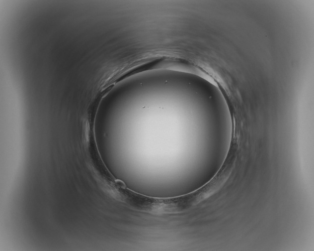 X0000112750109200908201426