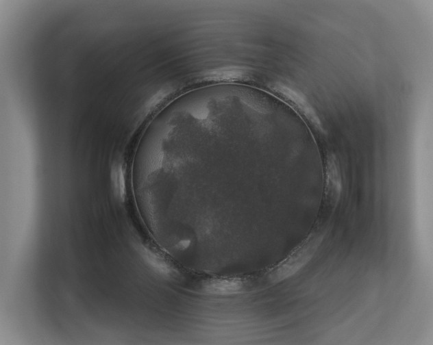 X0000112750110200908201426