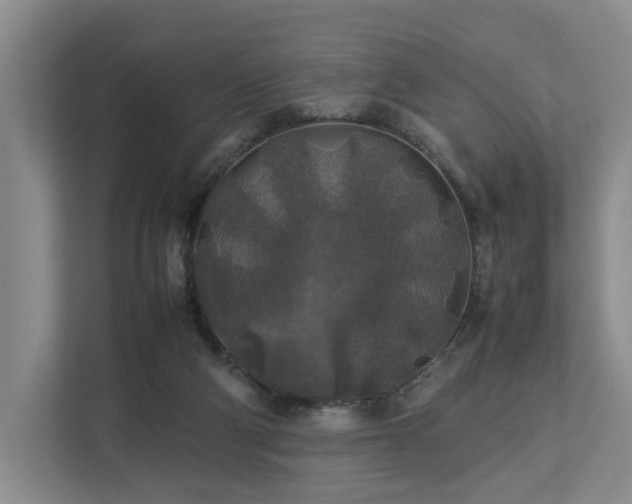 X0000112750114200908201426