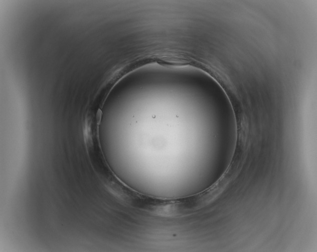 X0000112750116200908201426