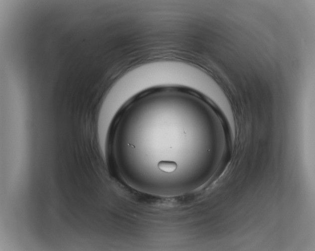 X0000112750124200908201425