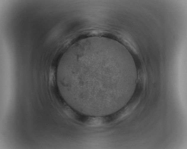 X0000112750127200908201425