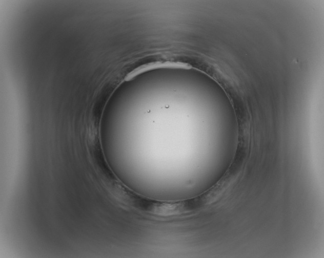 X0000112750129200908201425